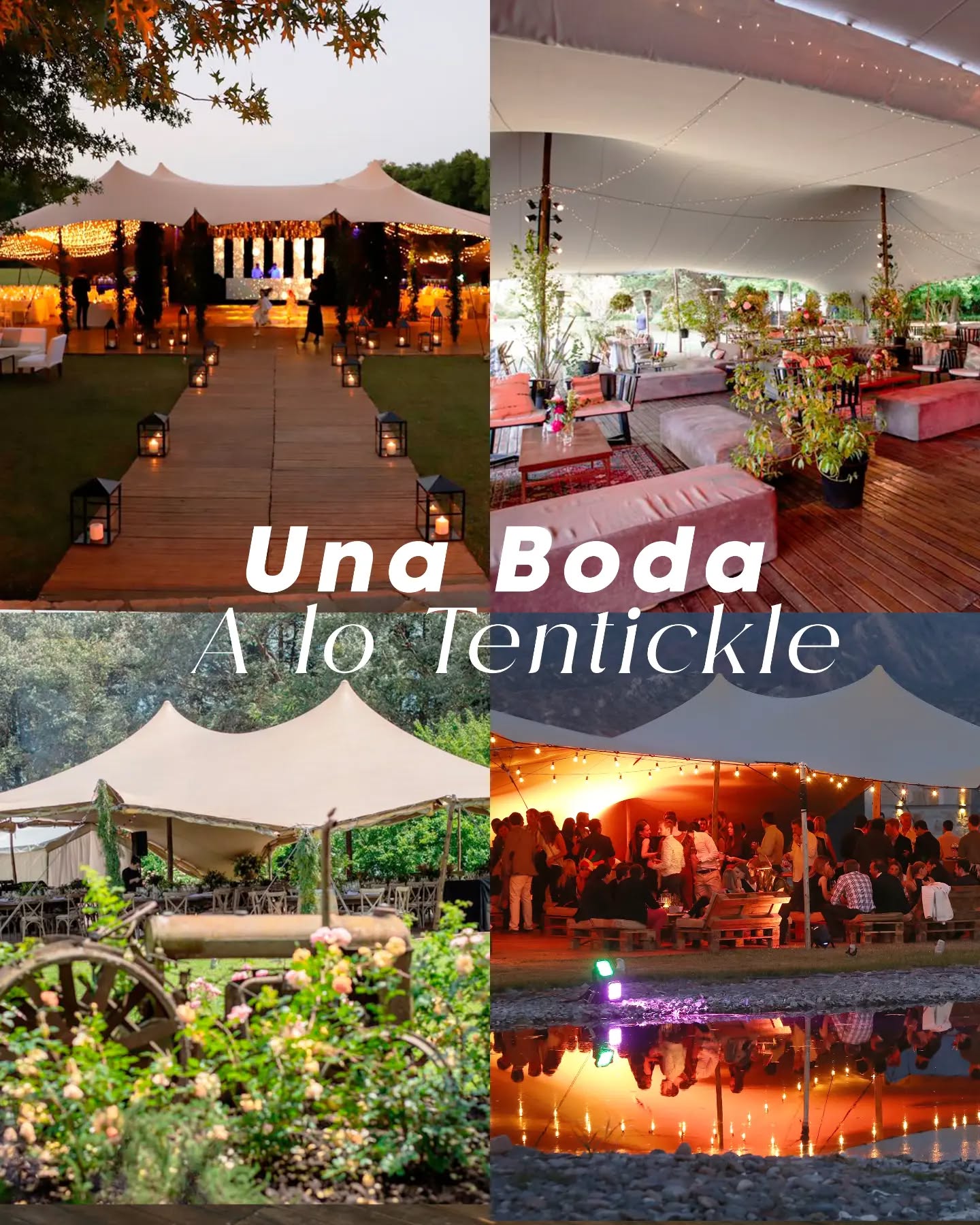 En esté mes del amor, queremos
proponerte algo diferente: una boda a lo
Tentickle
¿Te atreves a probarla?
#amoryamistad #tentickle #tenticklecolombia #bogotá