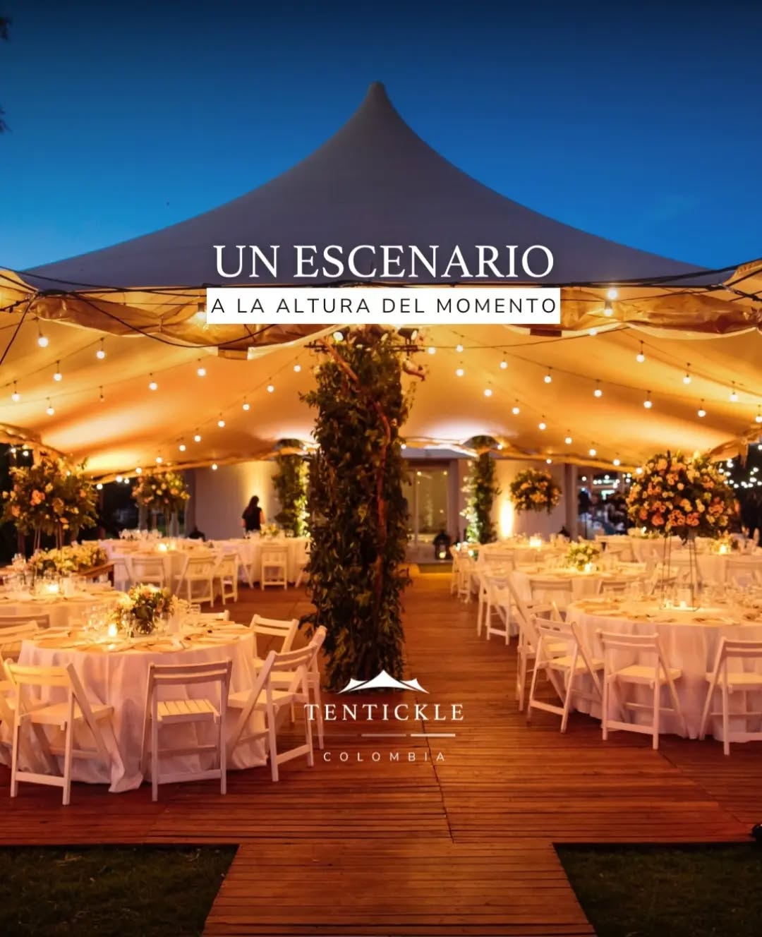 La decoración emociona. La iluminación crea la atmósfera. Y el espacio reúne todo para que la celebración fluya de forma natural ✨️

Porque los matrimonios inolvidables empiezan mucho antes del primer brindis 🥂

🔛 Cotiza ya mismo el alquiler de las mejores carpas del mercado 🔛