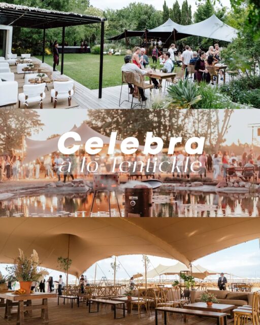 No importa como, lo importante es celebrar. Pero
¿y si celebras a lo Tentickle? No sólo organiza un evento corporativo, crea una experiencia inolvidable.
Con todo el glamour, la elegancia y la comodidad que nuestras carpas beduinas pueden ofrecerte.
Una propuesta vanguardista para marcas que busquen salirse de lo ordinario.
¿Te atreves a dar el siguiente paso?
Escríbenos y cotiza con nosotros
#bogotá #tenticklecolombia #evento #tentickle
